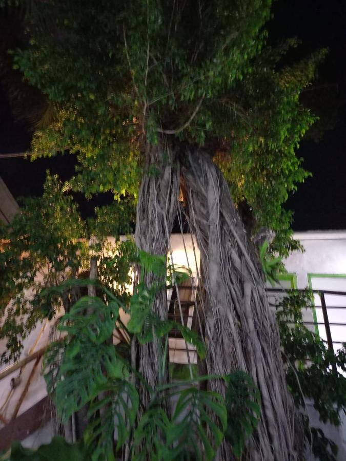 Mundo Maya Tulum Ngoại thất bức ảnh
